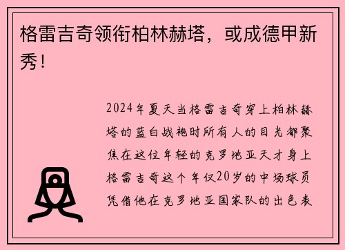 格雷吉奇领衔柏林赫塔，或成德甲新秀！