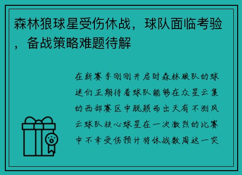 森林狼球星受伤休战，球队面临考验，备战策略难题待解