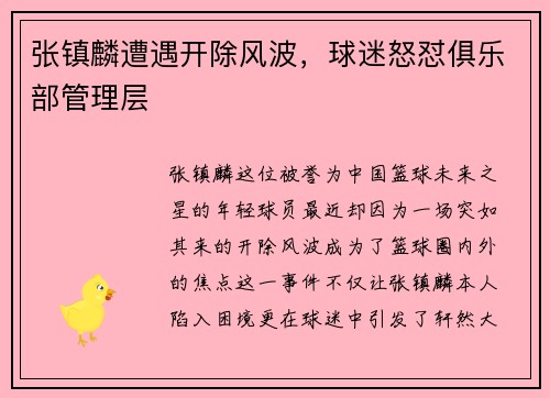 张镇麟遭遇开除风波，球迷怒怼俱乐部管理层