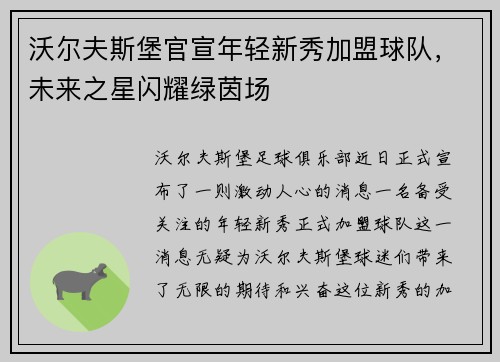 沃尔夫斯堡官宣年轻新秀加盟球队，未来之星闪耀绿茵场