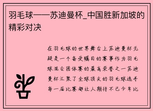 羽毛球——苏迪曼杯_中国胜新加坡的精彩对决